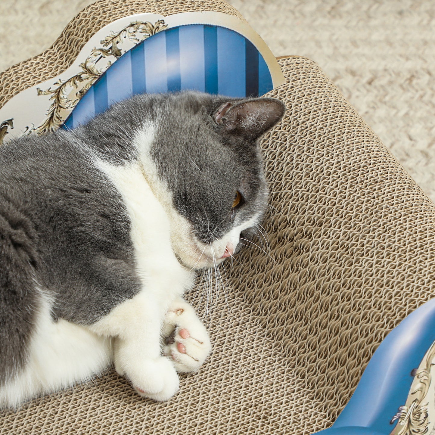 2-in-1 Cat Scratching Board with Catnip for Indoor Cats, 26.5 x 57 x 26.5cm, Blue