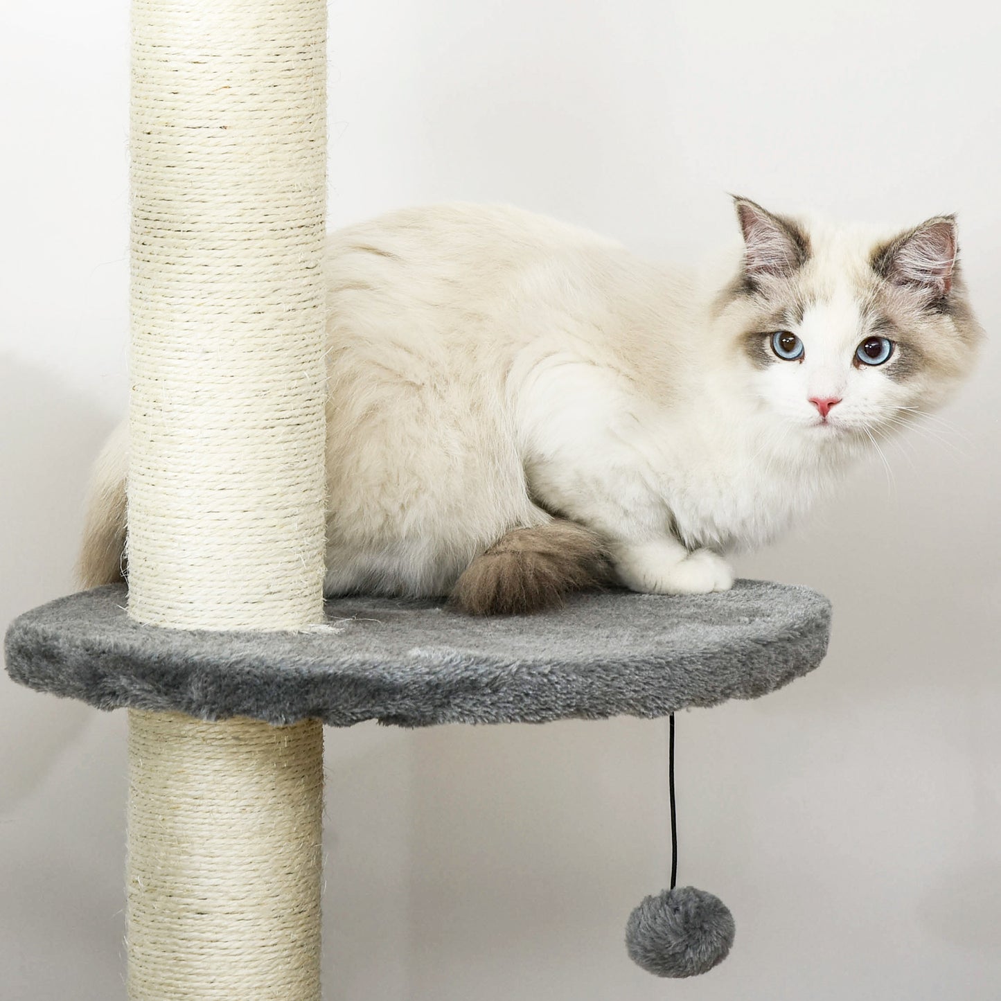 Floor to Ceiling Cat Tree for Indoor Cats, Kitten Tower, Condo, Multi-Layer Activity Center
