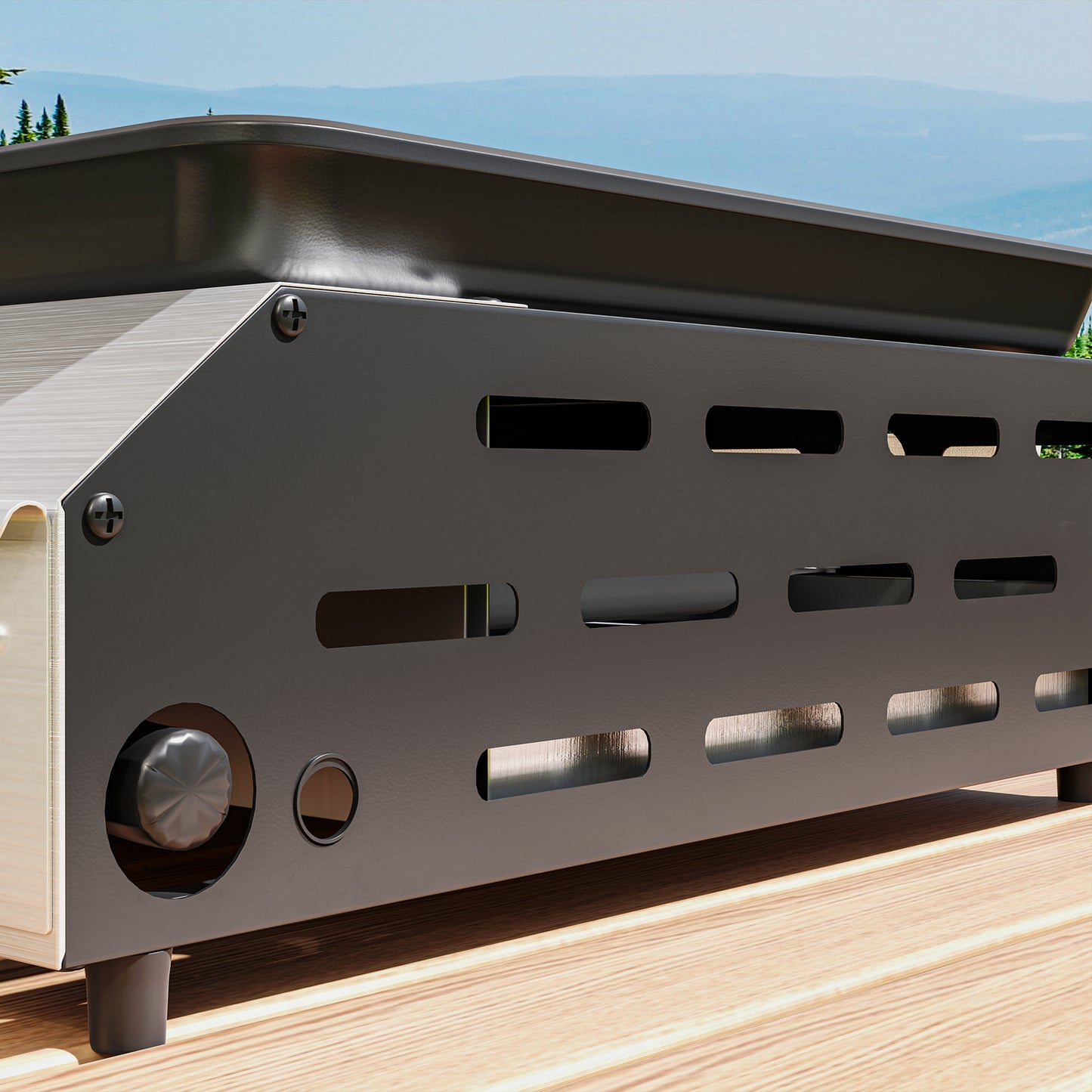 Two Burner Portable Gas Grill