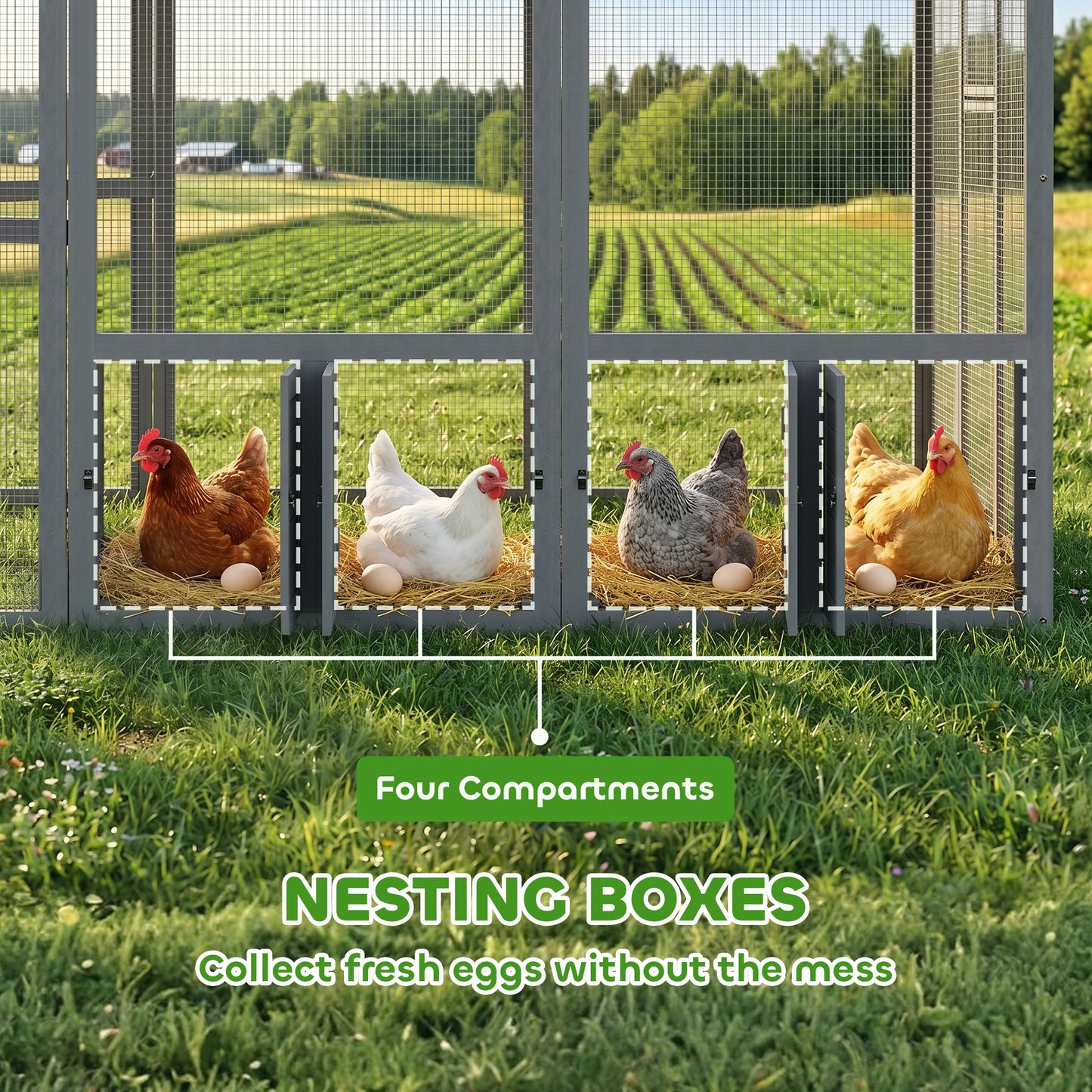 Large Walk In Chicken Run with Waterproof & Anti-UV Cover, for 6-8 Chickens, for Garden, Farm, 5.5' x 6' x 6'