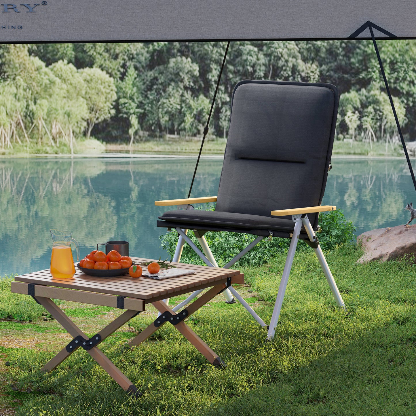 Portable Camping Chair for Adults, High Back Folding Chair with Padded Seat and Carry Bag, Outdoor Recliner for Hiking