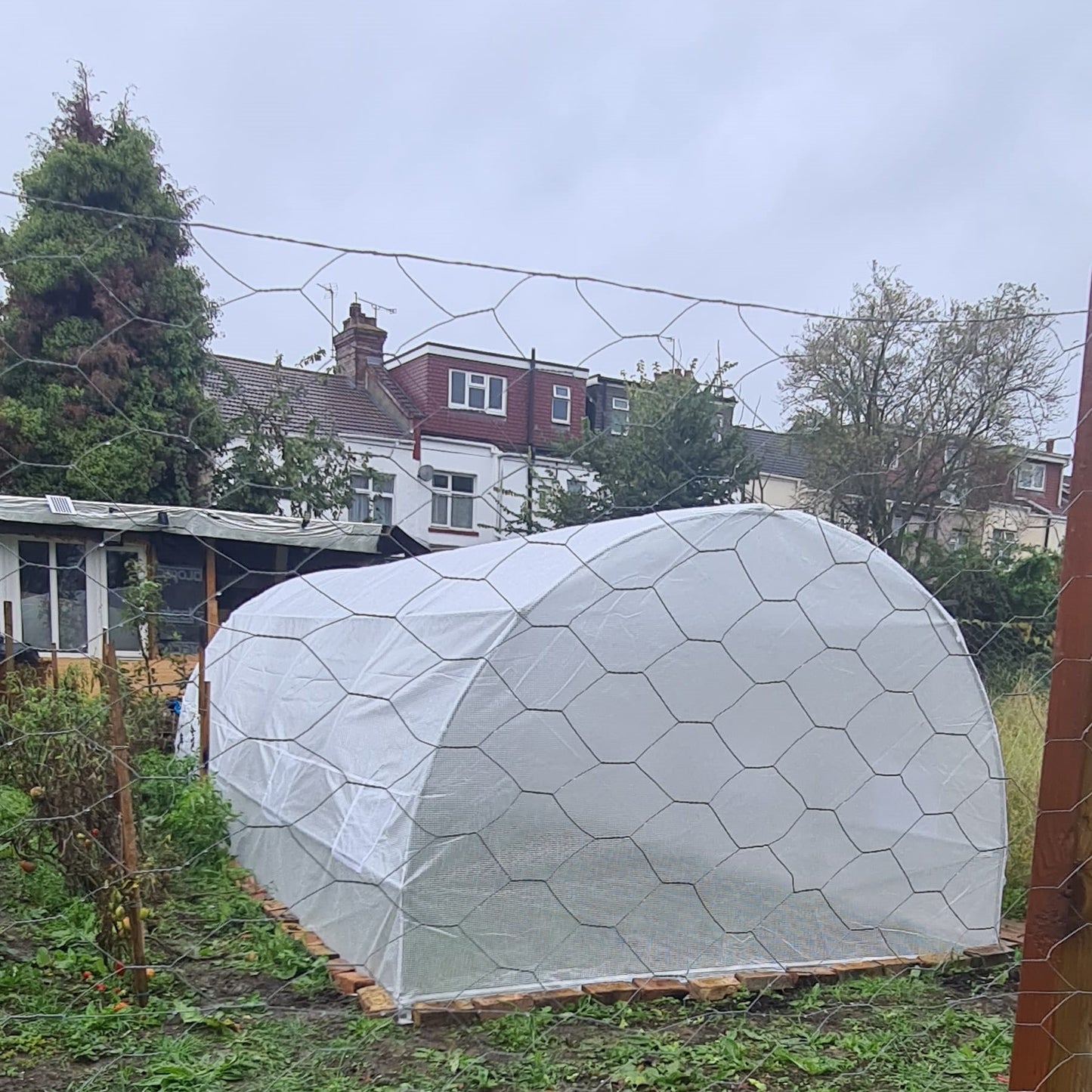 Poly Tunnel for Garden, Walk-in Polytunnel with Door and Roll Up Windows, 6 x 3 x 2 m, White