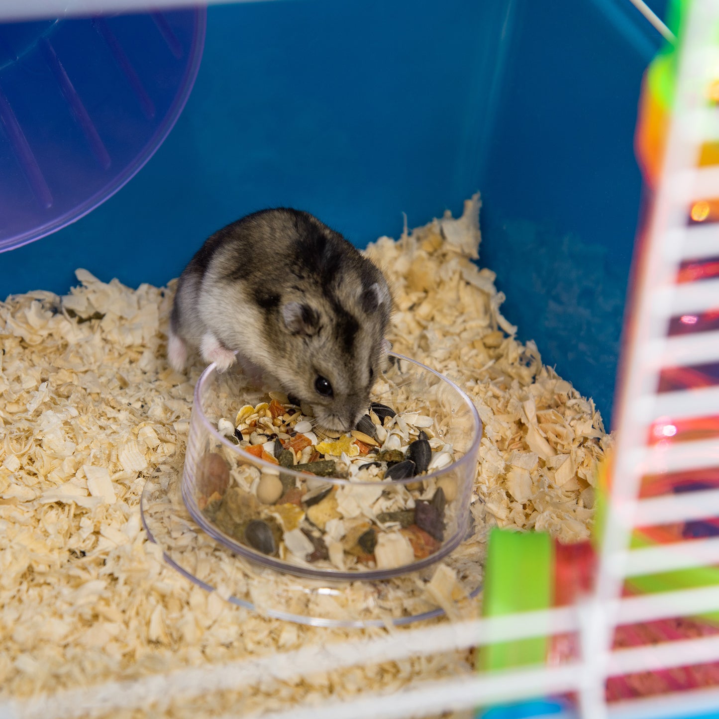 5 Tier Hamster Cage, Gerbil Cage with Exercise Wheel, Feeder Bowl, Tube, Water Bottle, 59L x 36W x 69H cm - Blue