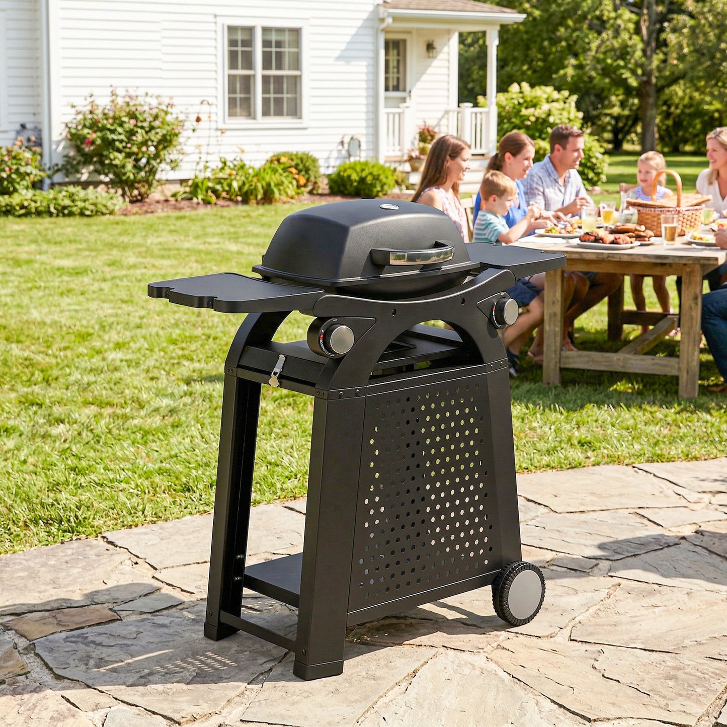 2 Burner Gas Grill with 2 Side Tables, 3.8 KW Barbecue Grill with Cast Iron Grates, 2-in-1 Tabletop BBQ with Wheels