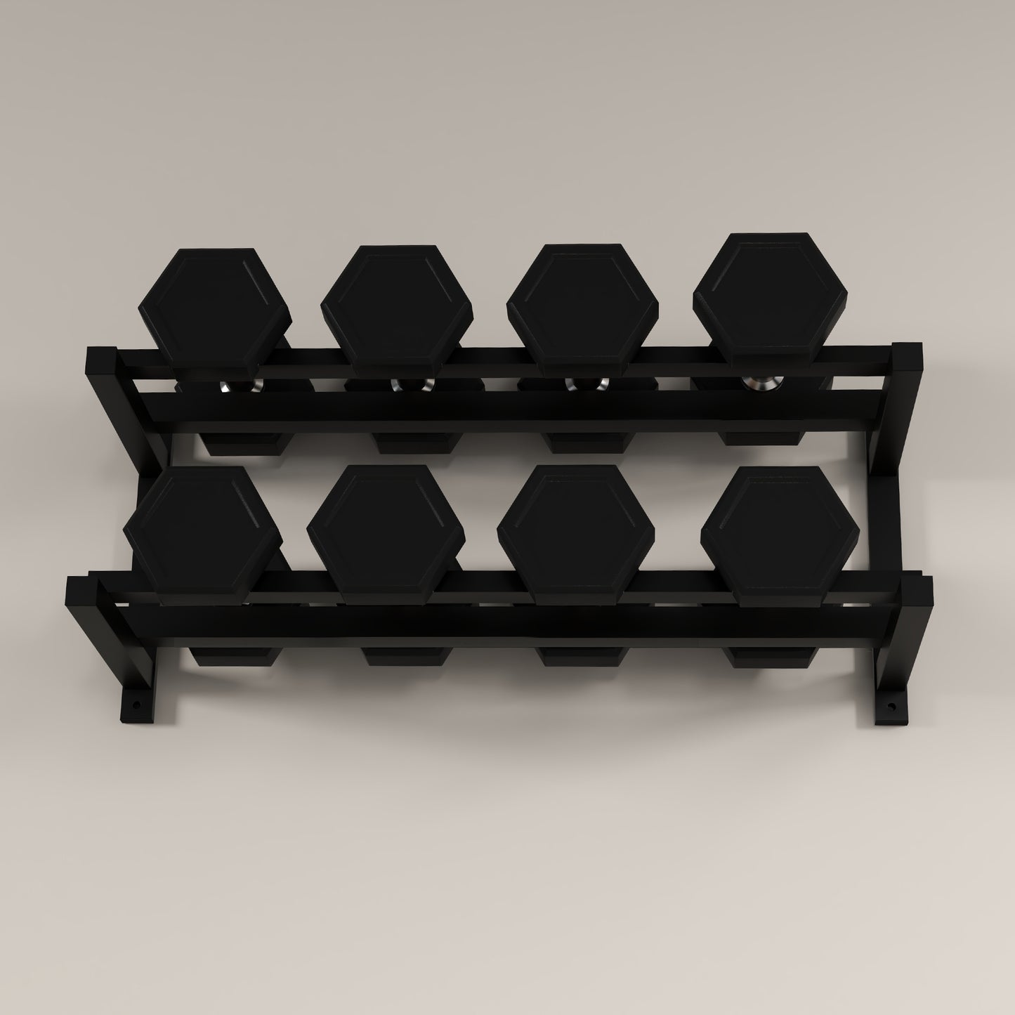 Wall-Mounted Dumbbell Rack, 2-Tier Weight Stand, Space-Saving and Multi-Functional Steel organiser for Home Gym, Black