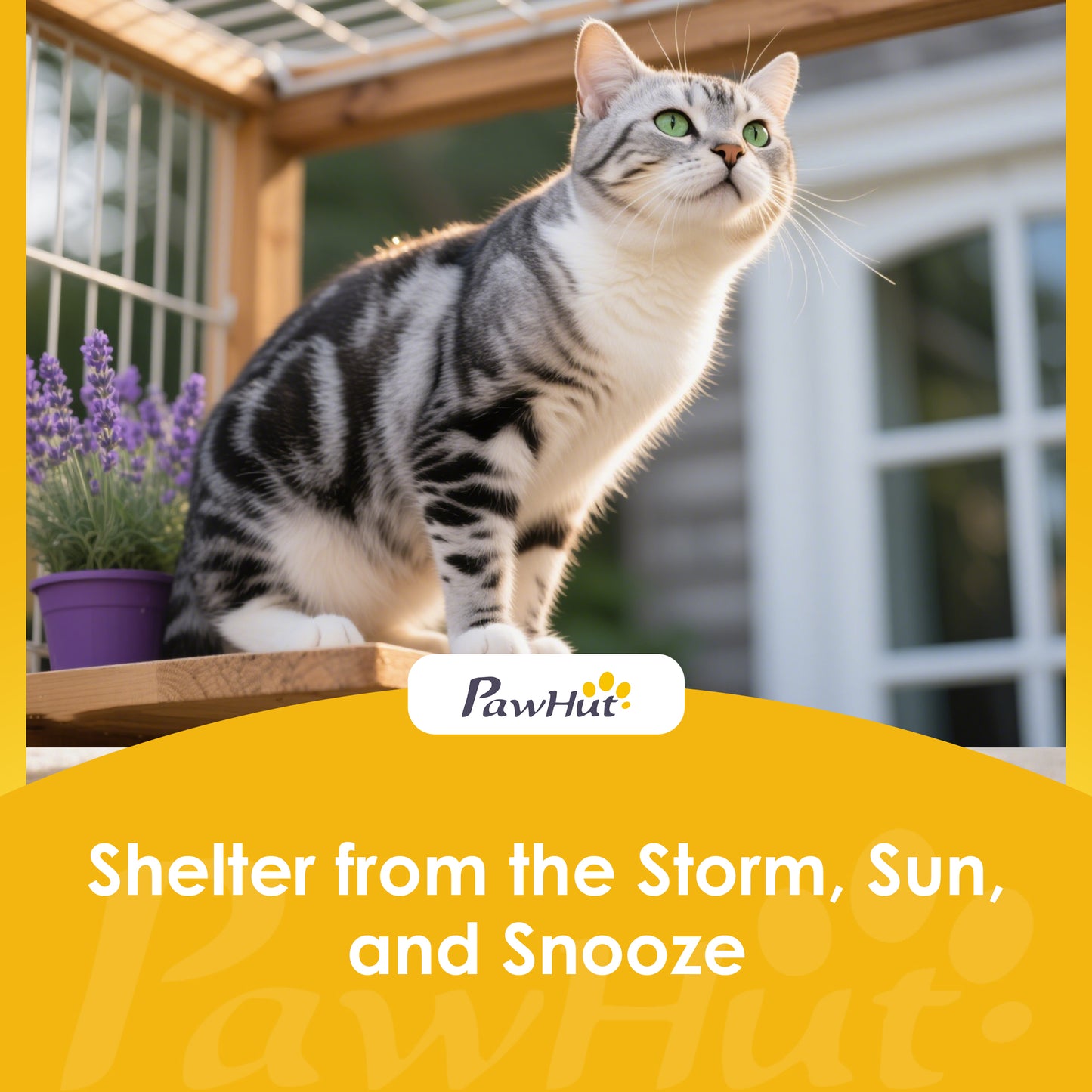 Movable Outdoor Catio with Resting Box, 3 Jumping Platforms, Waterproof Asphalt Roof for Outdoor Indoor