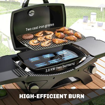 2 Burner Gas Grill with 2 Detachable Side Tables, 3.8 KW Steel Barbecue Grill with Cast Iron Grates, Lid, Thermometer