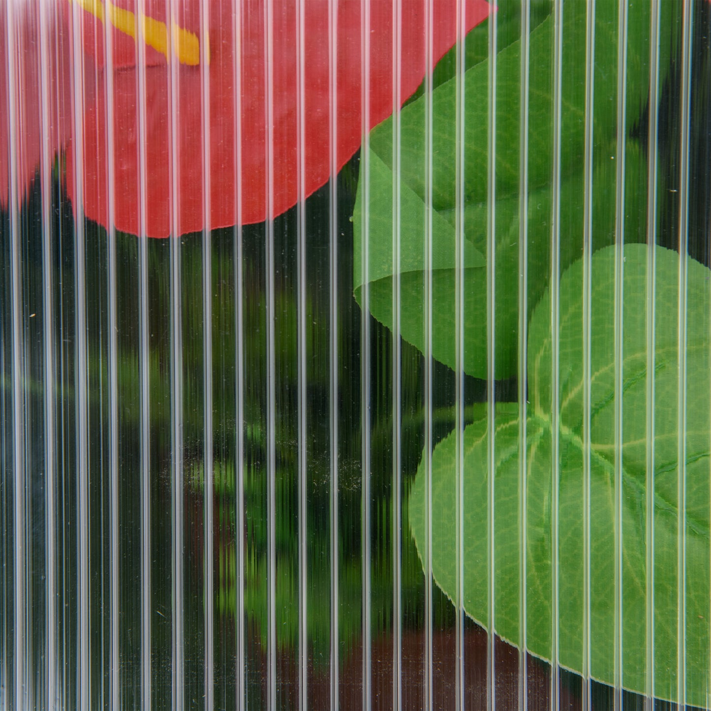 Wooden Cold Frame Garden Polycarbonate Greenhouse with Openable Top Cover, Grow House for Flowers, Vegetables, Plants