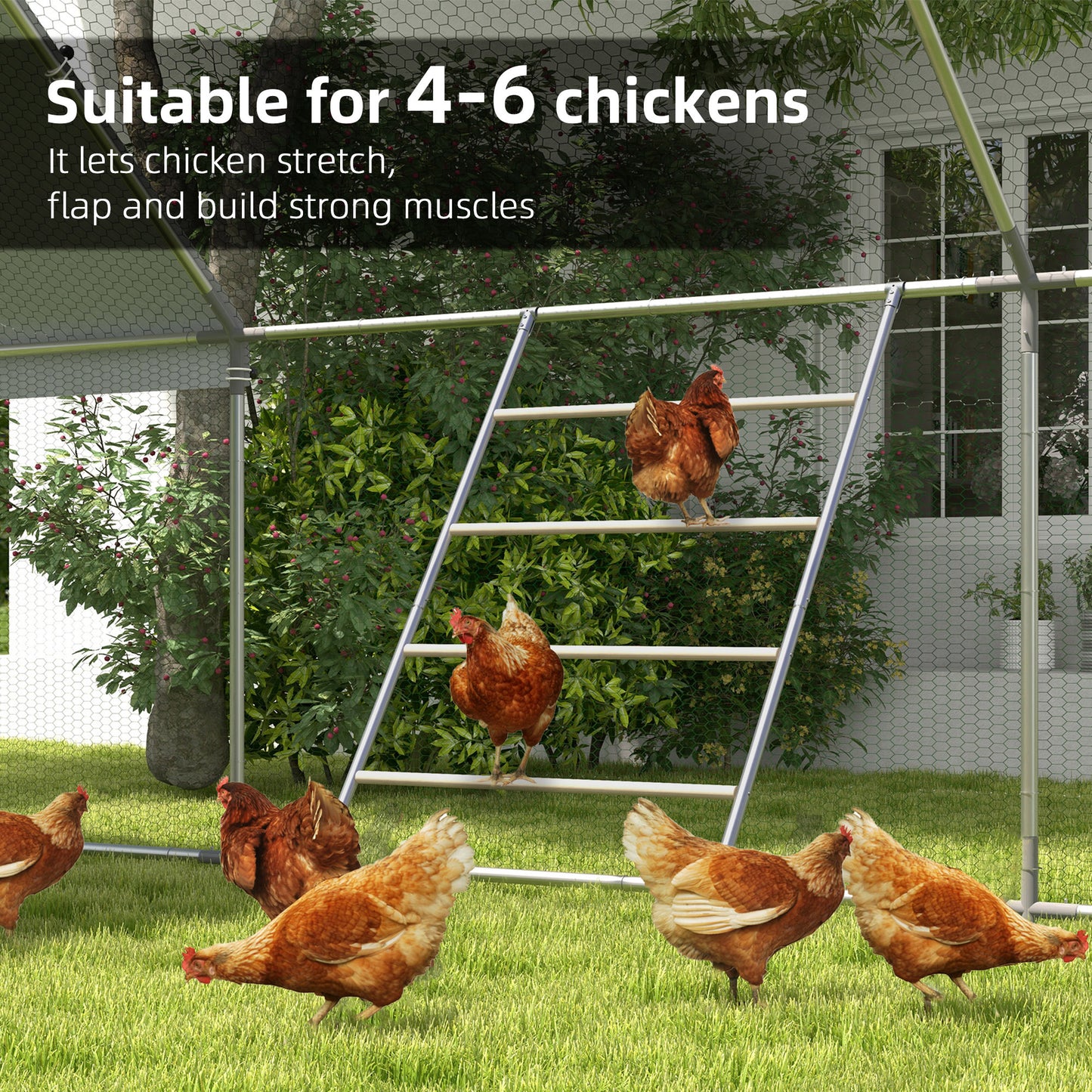 Chicken Perch for Coop, Wooden and Galvanised Steel Roosting Bar Jungle Gym, Chicken Roosting Ladder for Backyard Farm