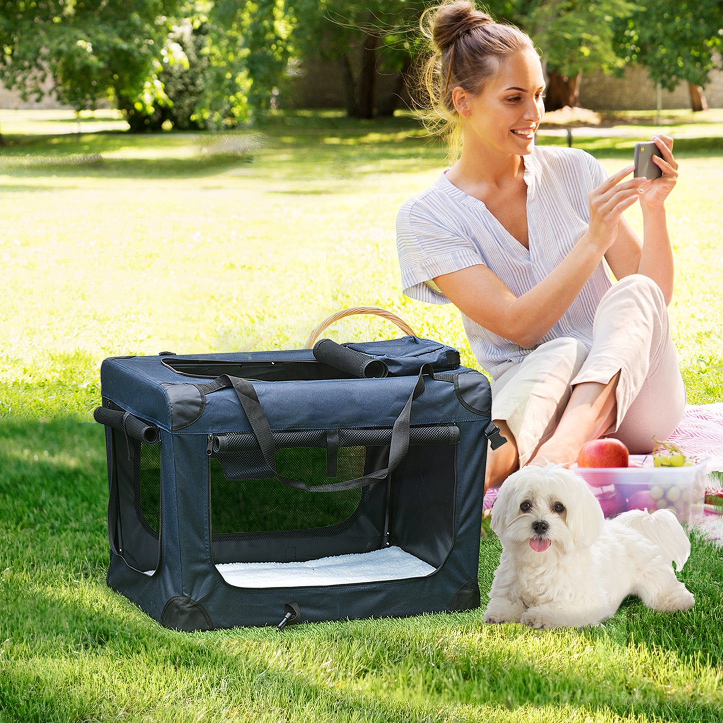 Foldable Pet Carrier for Small and Miniature Dogs, Portable Cat Carrier Soft Side Pet Travel Crate with Removable Mat