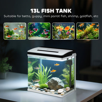 13L Glass Aquarium Fish Tank with Filter, LED Lighting, for Betta, Guppy, Mini Parrot Fish, Shrimp, 29 x 20 x 30.5cm