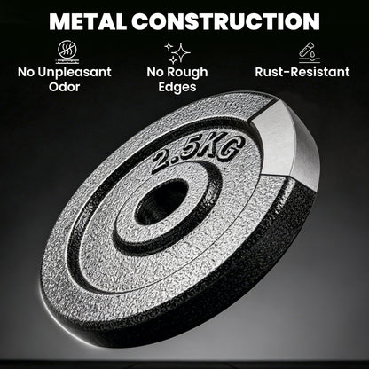 Weight Plates Set, 1"/2.5cm Weight Disc Pair, 4 x 2.5kg Metal Dumbbell/Barbell Plates for Home Gym
