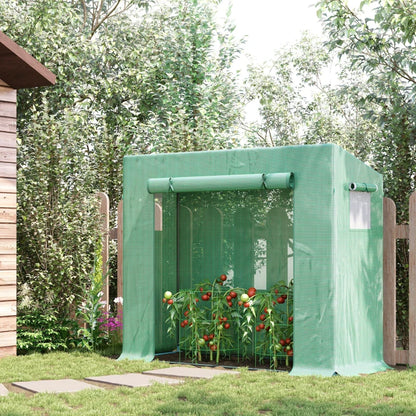 Slimline Walk-In Greenhouse with Steel Frame & 2 Windows