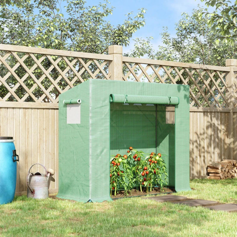 Slimline Walk-In Greenhouse with Steel Frame & 2 Windows