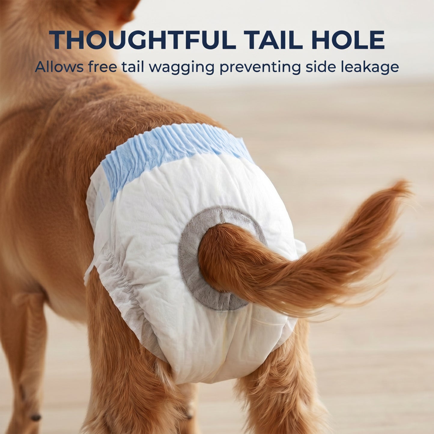 Disposable Dog Diapers Female Incontinence or Excitable Urination and Training 48 Count, XS, 15-33 cm