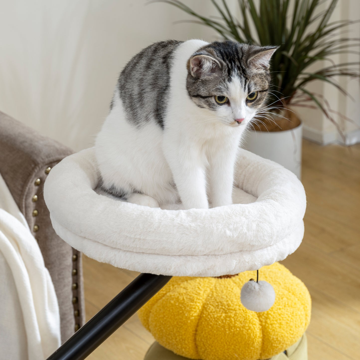 Cat Desk Bed, Cat Hammock 360° Rotatable Adjustable for Window, Table, Work, Cream White