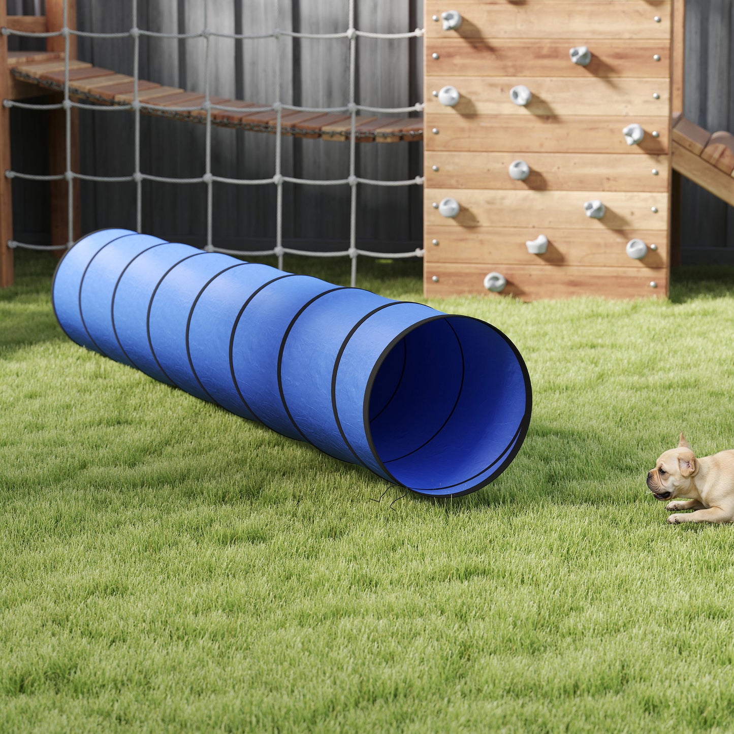 Dog Tunnel, 300 x 50 cm, Foldable Play Tunnel with 4 Pegs and Bag, Tear-Resistant Outdoor Dog Agility Equipment, Blue