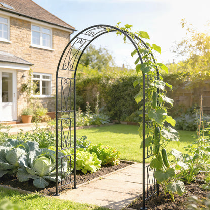 Garden Arch, Arbour Trellis for Climbing Plants, Rose Arch for Wedding Garden Decoration, 155 x 40 x 246 cm, Black