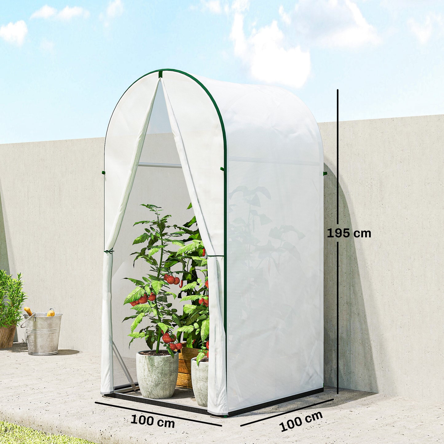 Mini Greenhouse, Portable Green House with Roll-Up Door, PE Base, Small Greenhouse, 100 x 100 x 195 cm, White