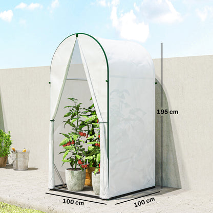 Mini Greenhouse, Portable Green House with Roll-Up Door, PE Base, Small Greenhouse, 100 x 100 x 195 cm, White