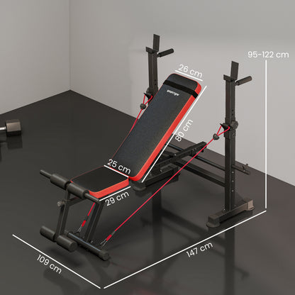 Adjustable Weight Bench with Squat Rack and Dip Stand