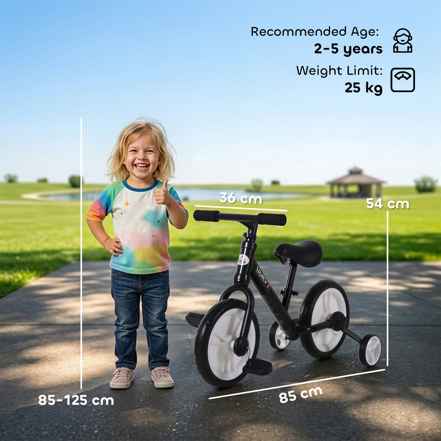 11 Inch Kids Balance Bike Training Pedal Bicycle W/ Removable Stabilizers EVA Tyres Adjustable Seat Height 2 to 5 Years Gift