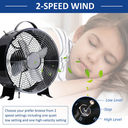 2-Speed 10" / 26cm - Tabletop / Personal Desk Fan with Safety Guard