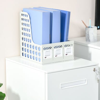 Metal Mobile File Cabinet with Wheels, Lockable 2 Drawer Filing Cabinet for A4, Legal, Letter