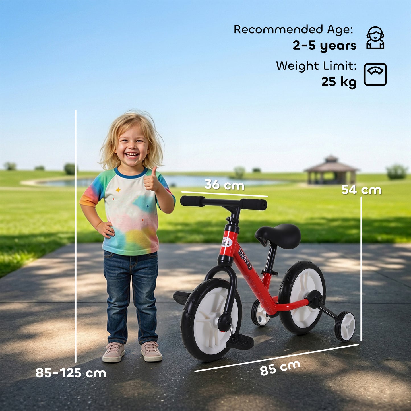 11 Inch Kids Balance Bike Training Pedal Bicycle W/ Removable Stabilizers EVA Tyres Adjustable Seat Height 2 to 5 Years Gift
