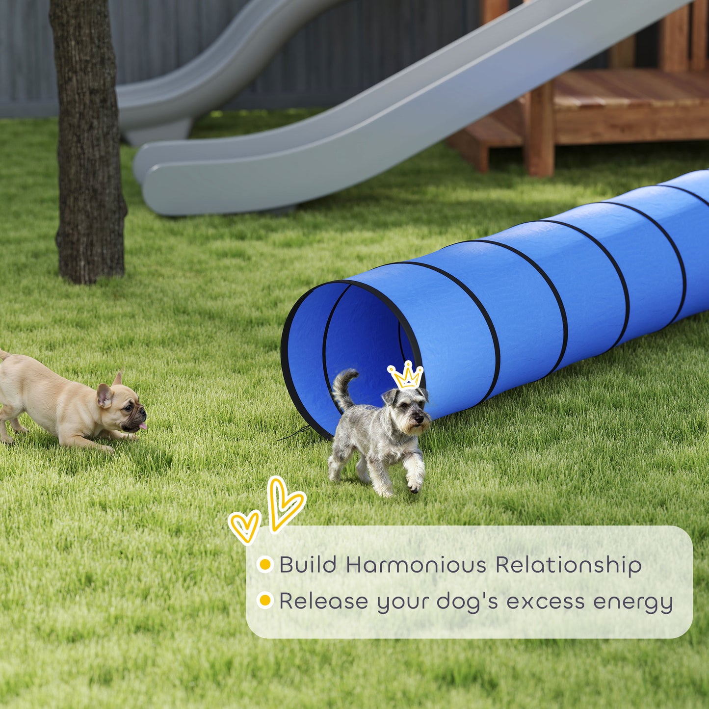 Dog Tunnel, 300 x 50 cm, Foldable Play Tunnel with 4 Pegs and Bag, Tear-Resistant Outdoor Dog Agility Equipment, Blue