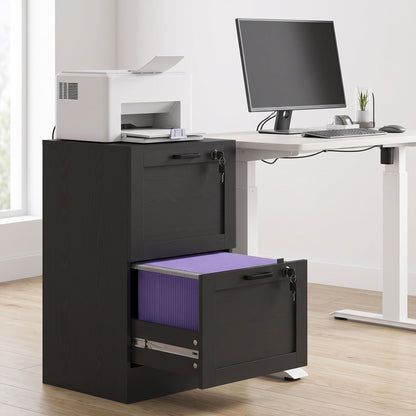 2-Drawer Filing Cabinet with Lock - Black