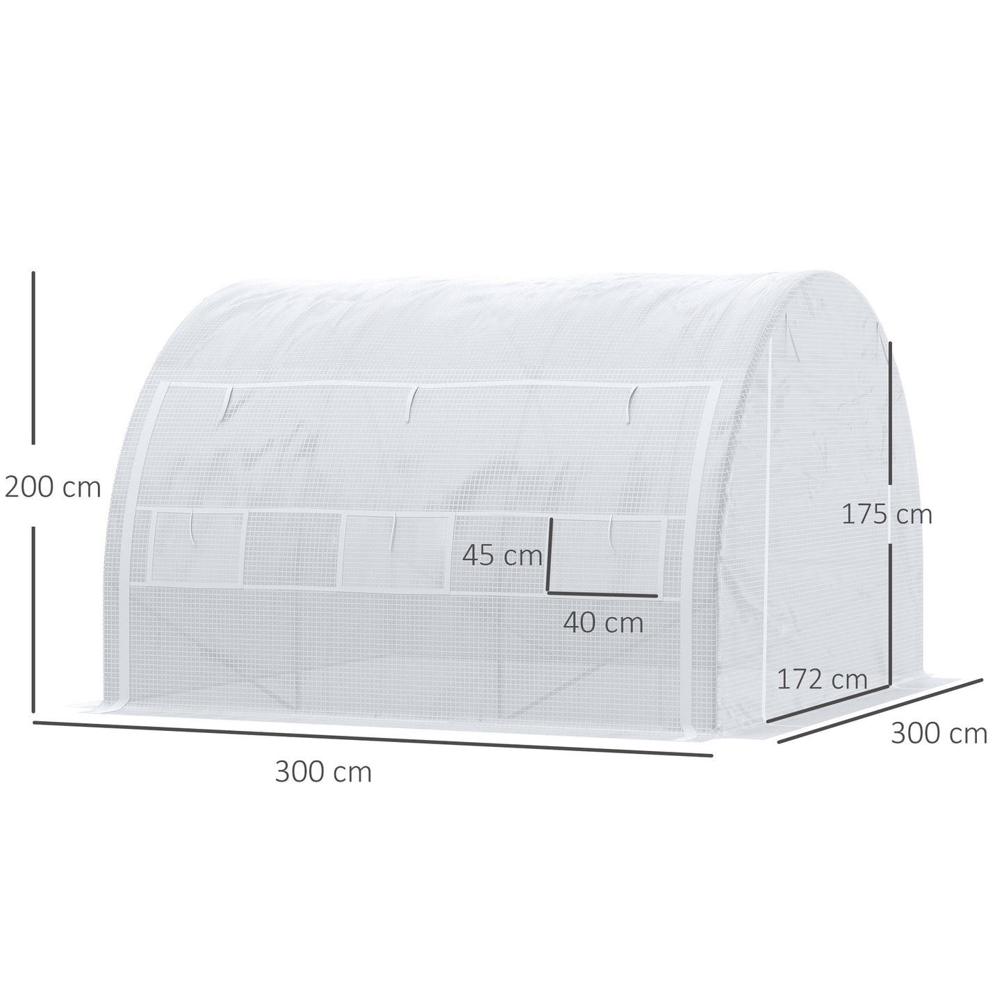 3 x 3 x 2 m Polytunnel Greenhouse with Roll-up Side Walls, Walk-in Grow House Tent with Steel Frame, Reinforced Cover