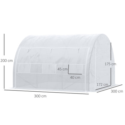 3 x 3 x 2 m Polytunnel Greenhouse with Roll-up Side Walls, Walk-in Grow House Tent with Steel Frame, Reinforced Cover