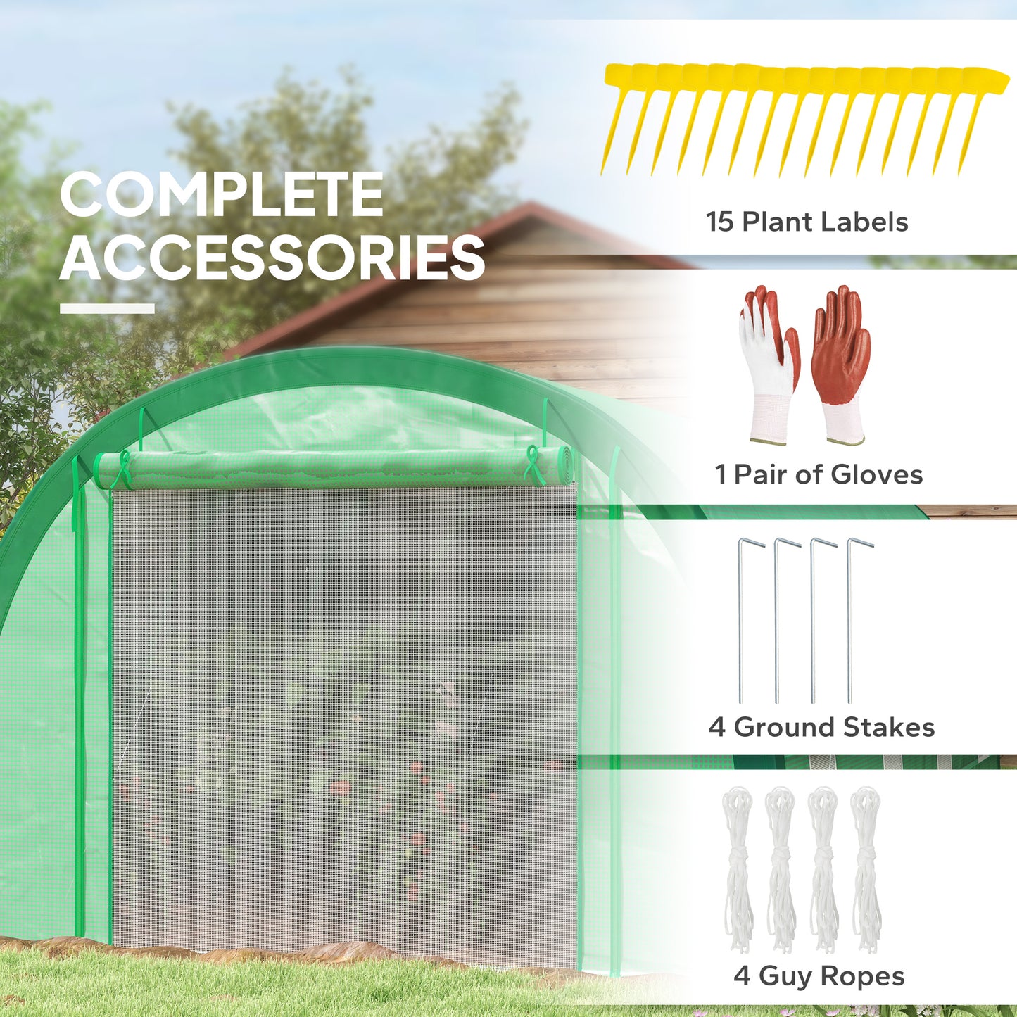 6 x 3(m) Polytunnel Greenhouse with Upgraded Structure, Mesh Door and Windows, 15 Plant Labels, Green