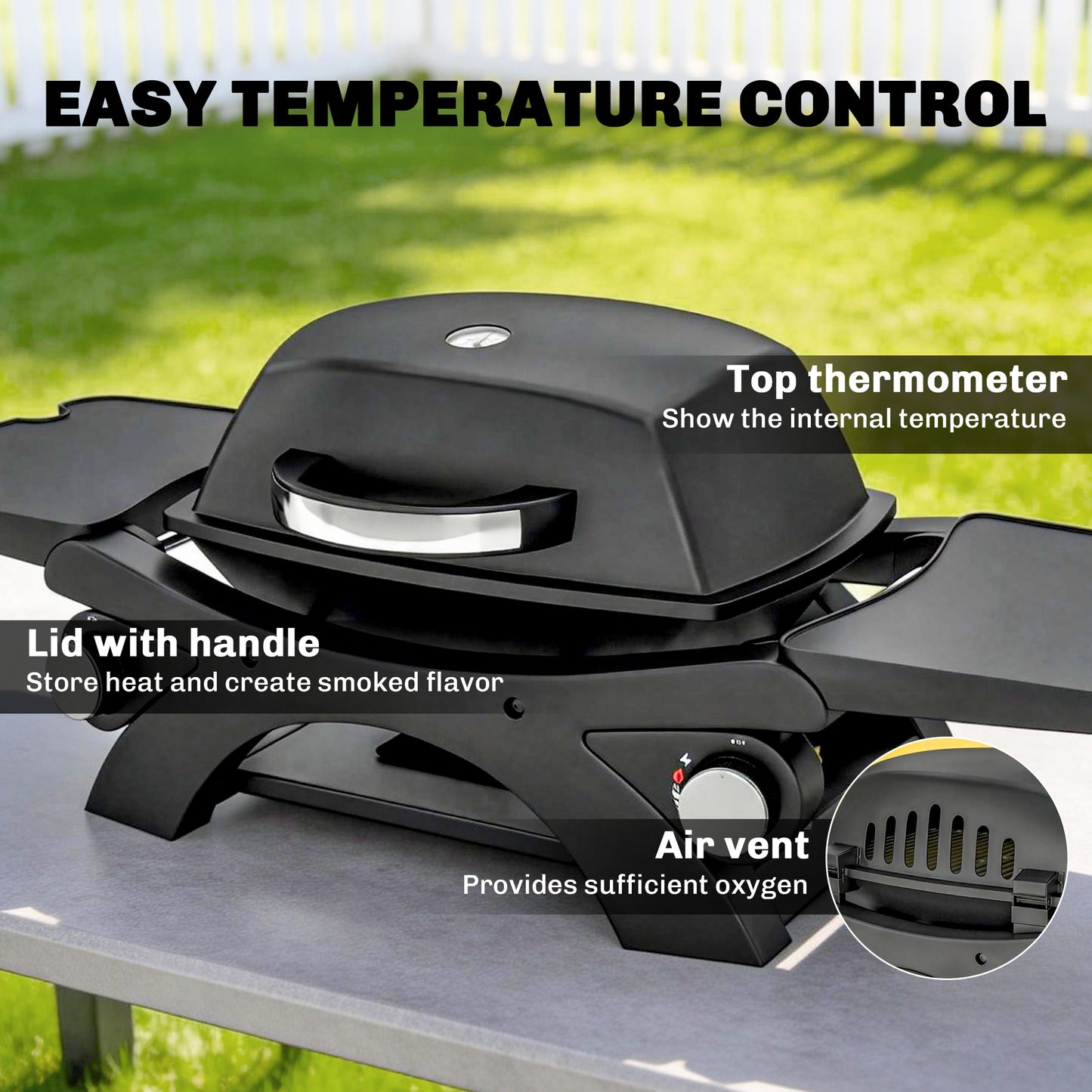 2 Burner Gas Grill with 2 Detachable Side Tables, 3.8 KW Steel Barbecue Grill with Cast Iron Grates, Lid, Thermometer