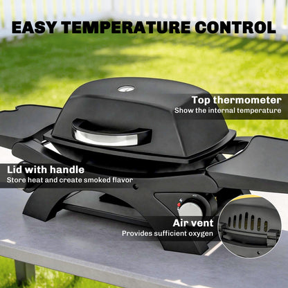 2 Burner Gas Grill with 2 Detachable Side Tables, 3.8 KW Steel Barbecue Grill with Cast Iron Grates, Lid, Thermometer