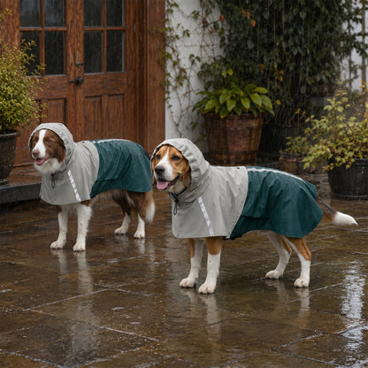 Dog Raincoat with Hood, Waterproof & Breathable Rain Jacket with Leash Hole, for Medium Dogs, Green, M