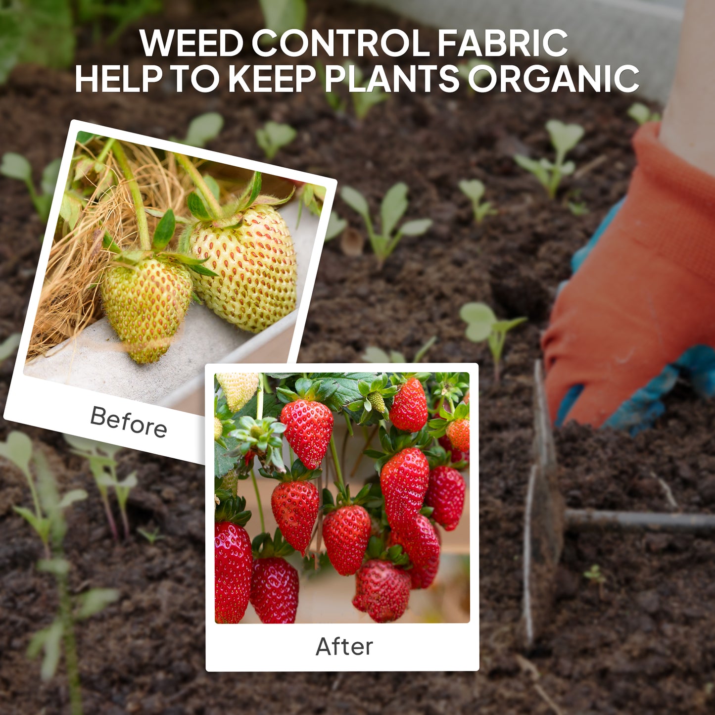 2m x 90m Weed Control Membrane, Heavy Duty Weed Control Barrier Fabric, 90gsm Ground Cover for Patios, Garden, Flower beds