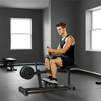 Seated Leg Extension Machine, Adjustable Leg Raise Machine and Curl Machine with Plate Loaded for Hip