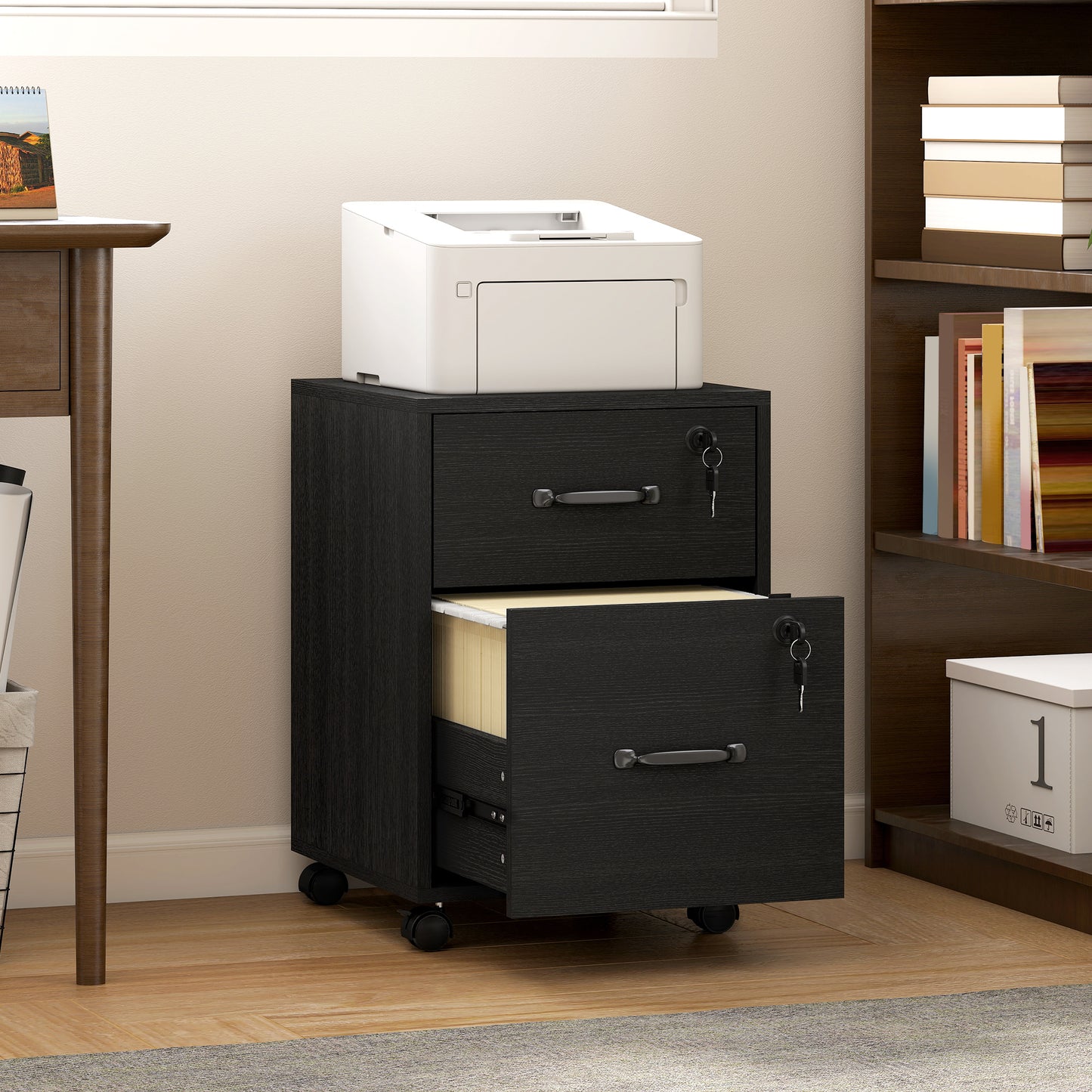 Rolling File Cabinet with 2 Drawers, Mobile Filing Cabinet with Hanging File Folder for Letter Sized Documents, Black