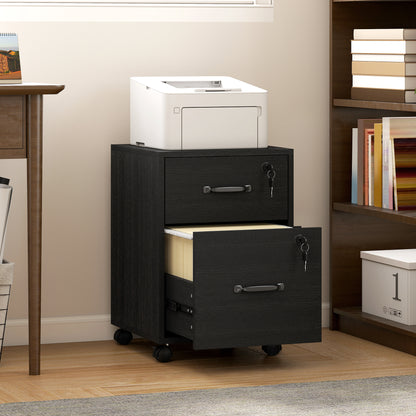Rolling File Cabinet with 2 Drawers, Mobile Filing Cabinet with Hanging File Folder for Letter Sized Documents, Black