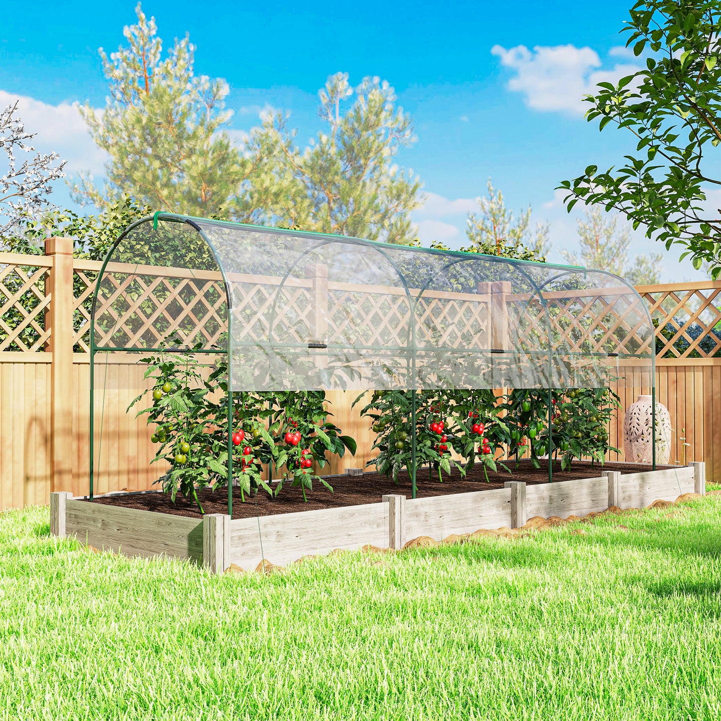 Tunnel Tomato Greenhouse with 4 Hoops and Top Tap, Pointed Bottom and Guy Ropes, 400 x 123 x 171 cm, Clear