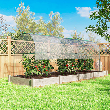 Tunnel Tomato Greenhouse with 4 Hoops and Top Tap, Pointed Bottom and Guy Ropes, 400 x 123 x 171 cm, Clear