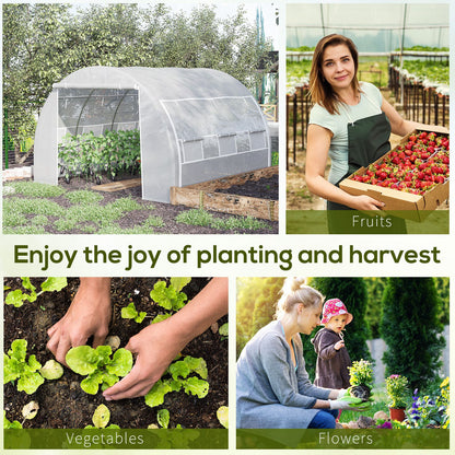 3 x 3 x 2 m Polytunnel Greenhouse with Roll-up Side Walls, Walk-in Grow House Tent with Steel Frame, Reinforced Cover