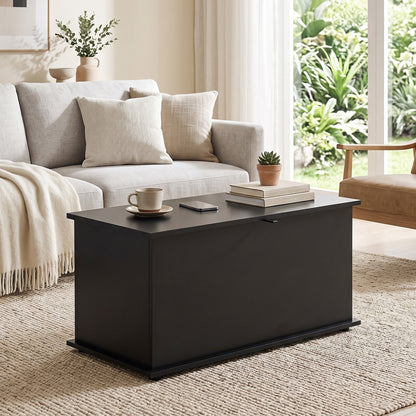 Storage Chest, 102L Blanket Box, Shoe Bench with Safety Hinged Lid, Bed End Bench for Bedroom, 80 x 40 x 45cm, Black