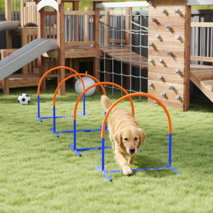Four-Piece Portable Dog Agility Equipment - Blue
