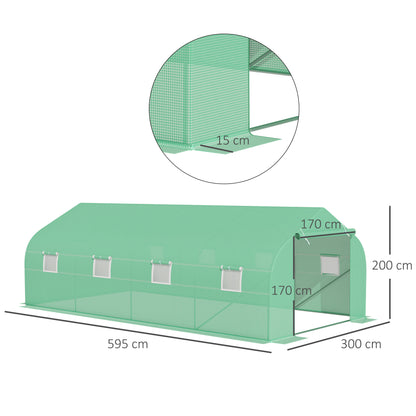 Polytunnel Greenhouse with Windows and Door, Walk in Greenhouse for Garden, Backyard (6 x 3 M)