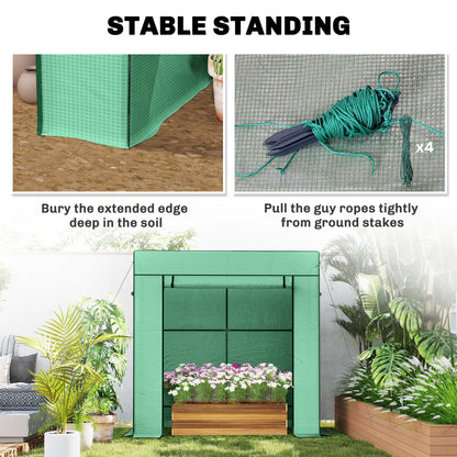 77 x 196cm Walk-In Greenhouse, with Accessories