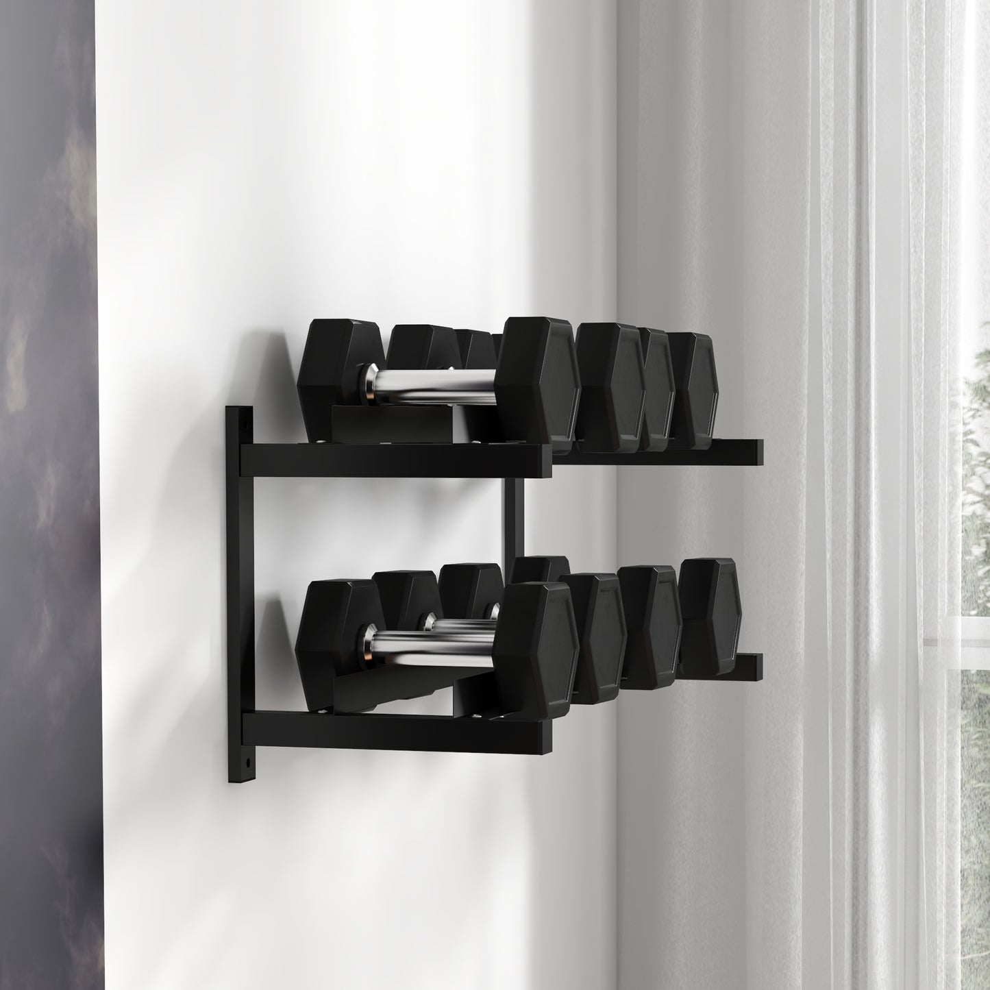 Wall-Mounted Dumbbell Rack, 2-Tier Weight Stand, Space-Saving and Multi-Functional Steel organiser for Home Gym, Black