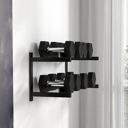 Wall-Mounted Dumbbell Rack, 2-Tier Weight Stand, Space-Saving and Multi-Functional Steel organiser for Home Gym, Black